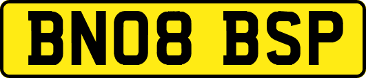 BN08BSP