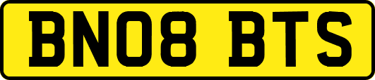 BN08BTS