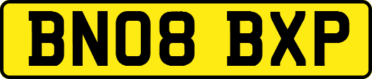 BN08BXP