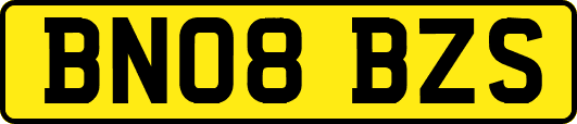 BN08BZS