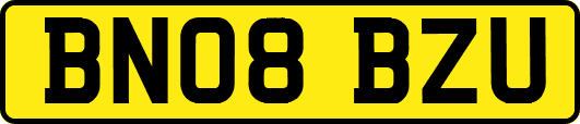 BN08BZU