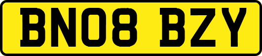 BN08BZY