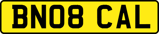 BN08CAL