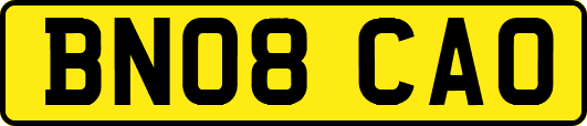 BN08CAO