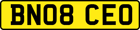 BN08CEO