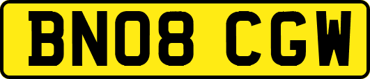 BN08CGW