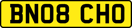 BN08CHO