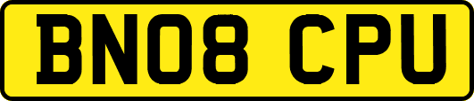 BN08CPU
