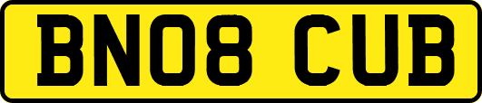 BN08CUB