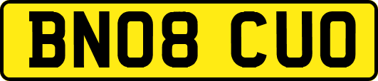 BN08CUO