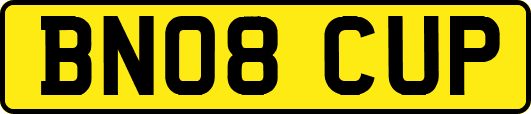 BN08CUP