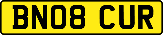 BN08CUR