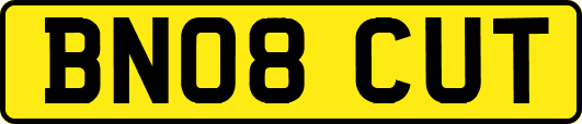 BN08CUT