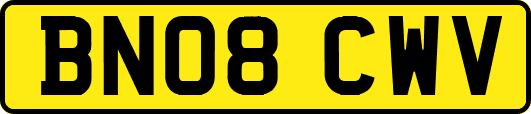 BN08CWV