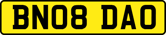 BN08DAO