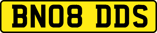 BN08DDS
