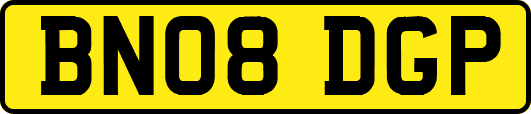 BN08DGP