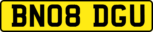 BN08DGU