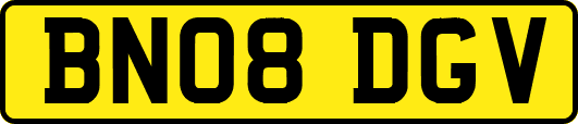 BN08DGV