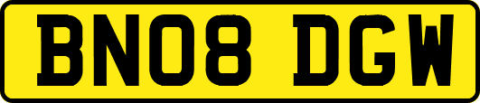 BN08DGW