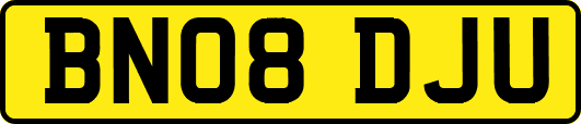 BN08DJU
