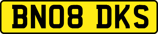BN08DKS
