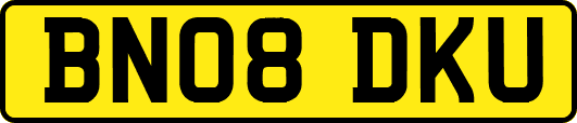 BN08DKU