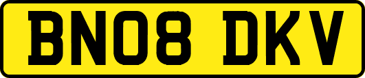 BN08DKV