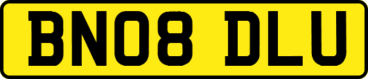 BN08DLU
