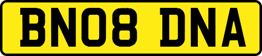BN08DNA