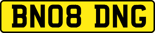 BN08DNG