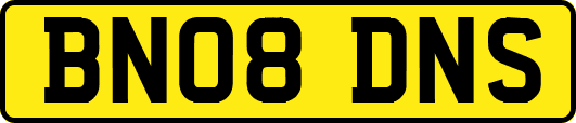 BN08DNS