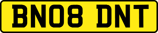 BN08DNT