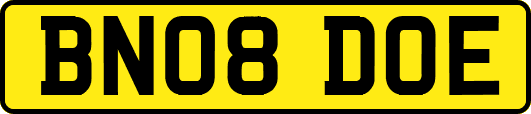 BN08DOE
