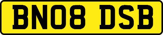 BN08DSB