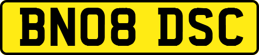 BN08DSC