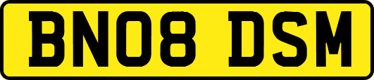 BN08DSM