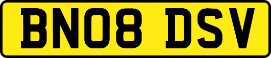 BN08DSV