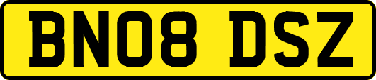 BN08DSZ