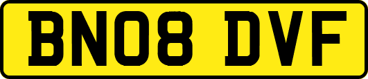 BN08DVF