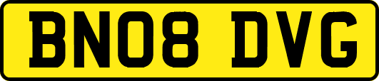 BN08DVG