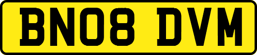 BN08DVM