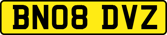 BN08DVZ