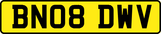 BN08DWV