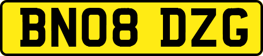 BN08DZG