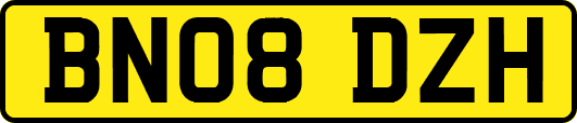 BN08DZH