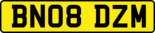 BN08DZM