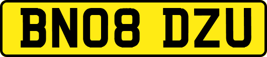BN08DZU