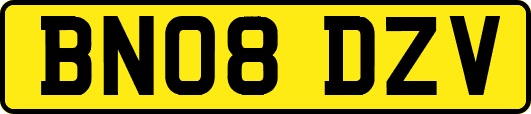 BN08DZV