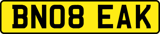 BN08EAK